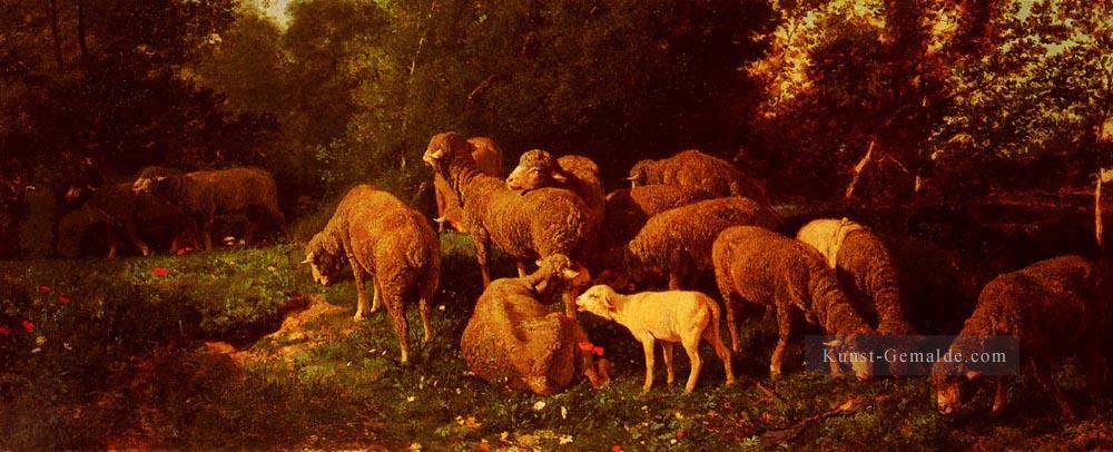 Les moutons Dans Le SousBios Tierier Charles Emile Jacque Ölgemälde